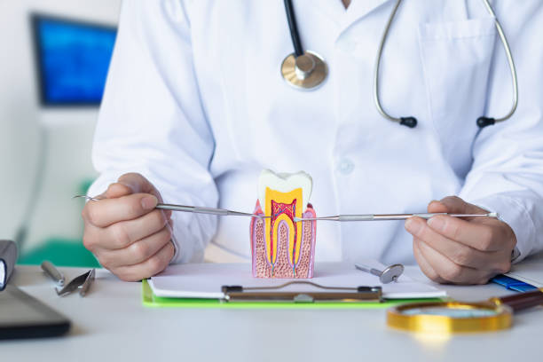 Best Emergency Root Canal Treatment in Gun Barrel City, TX